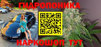 трава Кимры