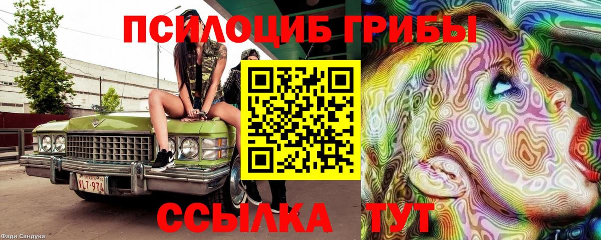 Галлюциногенные грибы MAGIC MUSHROOMS  Вход с VPN  Кисловодск 
